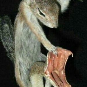 Meet your Posher, Jack